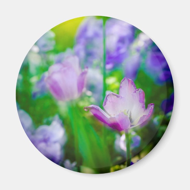Aimant Jardin de tulipes, Giverny, France (Devant)
