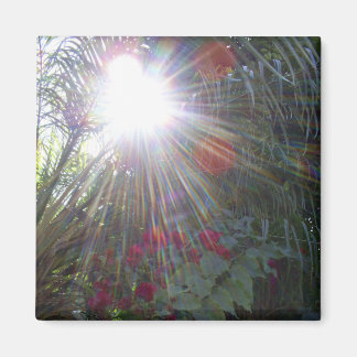 Aimant Jardin ensoleillé