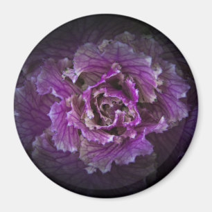 Aimant Jardin Fleurs No 42 Version couleur