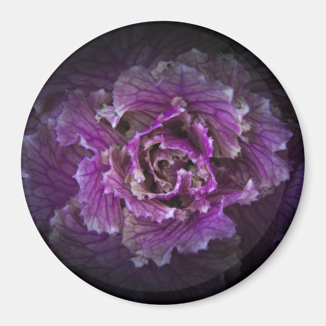 Aimant Jardin Fleurs No 42 Version couleur (Devant)