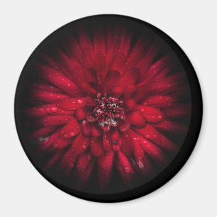 Aimant Jardin Fleurs No 45 Version de flux couleur