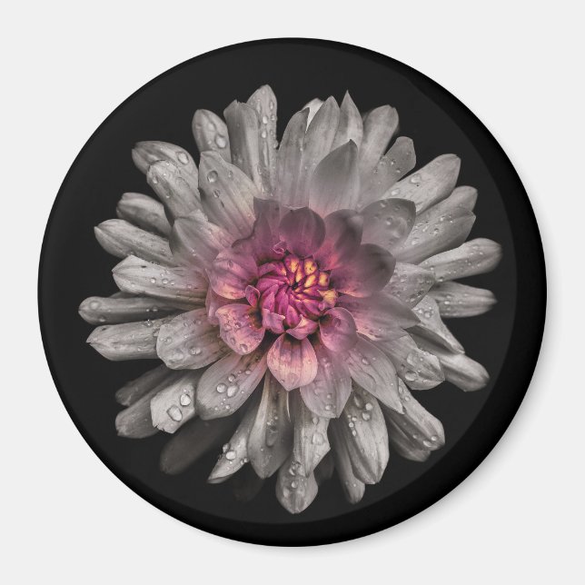 Aimant Jardin Fleurs No 91 Version couleur (Devant)
