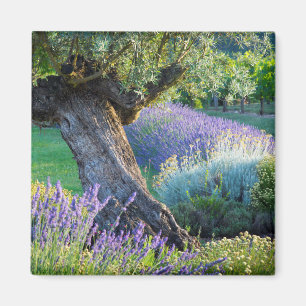 Aimant Jardin panoramique avec des fleurs, France