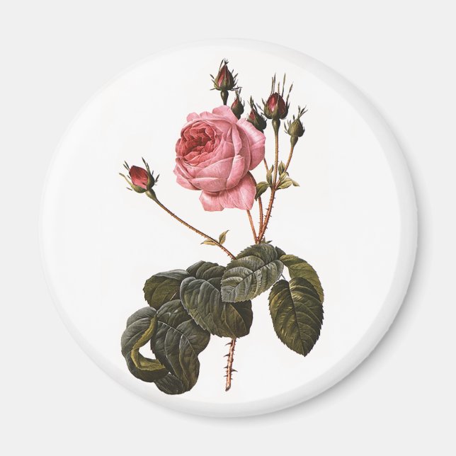 Aimant Jardin rose vintage en fleurs (Devant)