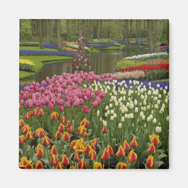Aimant Jardin Tulip et jacinthe, Jardins de Keukenhof, (Devant)