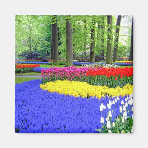 AIMANT JARDINS DE KEUKENHOF, HÔTEL DE LISSE