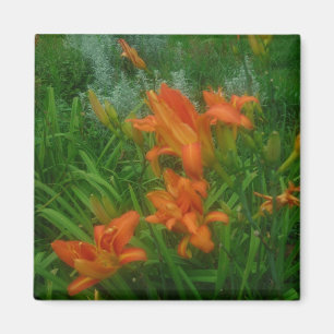 Aimant Jardins orange