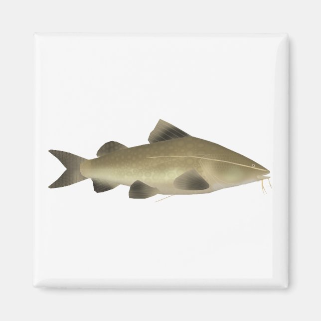 Aimant Jaú Catfish (Devant)