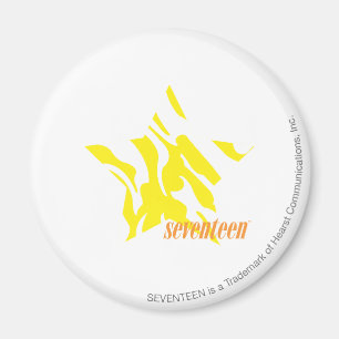 Aimant Jaune 3 de zèbre