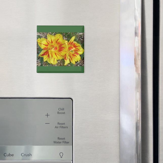 Aimant Jaune avec Fleur rayée rouge (In situ (réfrigérateur))