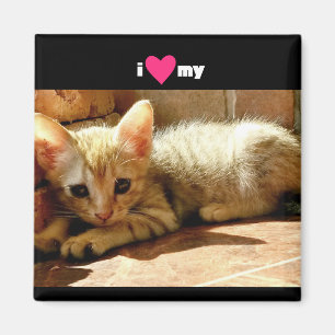 Aimant J'Coeur Mon Chat