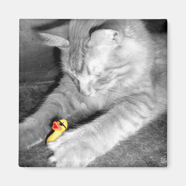 Aimant 'Je dis ne pas nourrir le chat' Roubber Duck Magne (Devant)