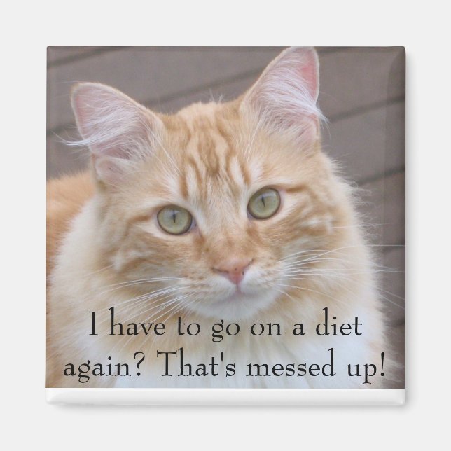 Aimant Je dois recommencer un régime alimentaire ? (Devant)