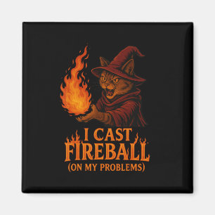 Aimant Je Lance Boule De Feu Sur Ma Famille De Chat Probl