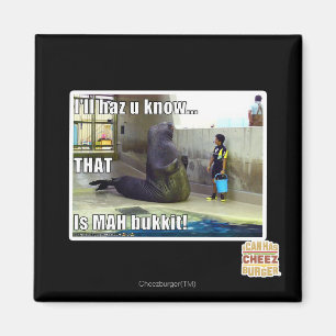 Aimant Je le haz u saurai