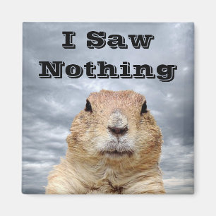 Aimant Je n'ai rien vu le jour de la marmotte