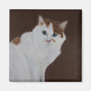 Aimant Je ne l'ai pas fait