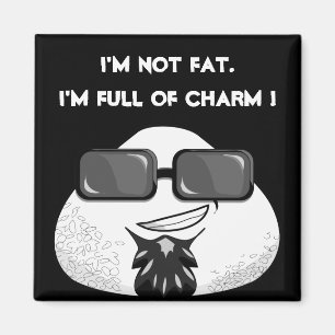 AIMANT JE NE SUIS PAS FAT. JE SUIS PLEIN DE CHARME !