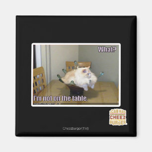 Aimant Je ne suis pas sur la table