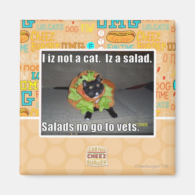 Aimant Je ne suis pas un chat. Iz une salade. (Devant)
