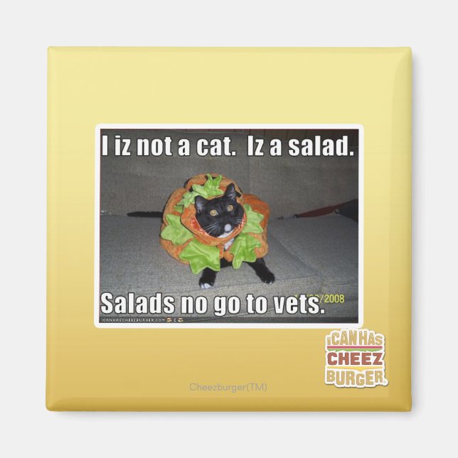 Aimant Je ne suis pas un chat. Iz une salade. (Devant)
