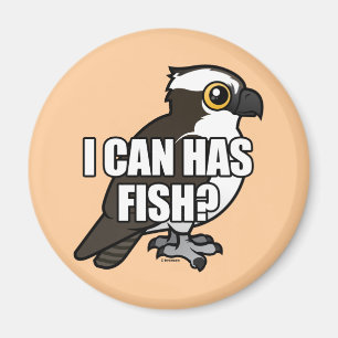 Aimant Je peux a des poissons ?