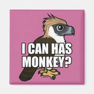 Aimant Je peux a le singe ?