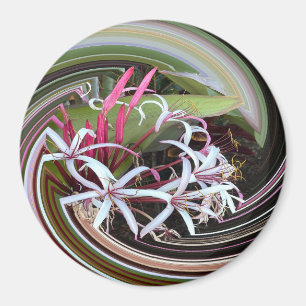 Aimant Je regarde.....