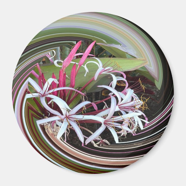 Aimant Je regarde..... (Devant)