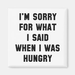 Aimant Je suis désolé pour What I Said