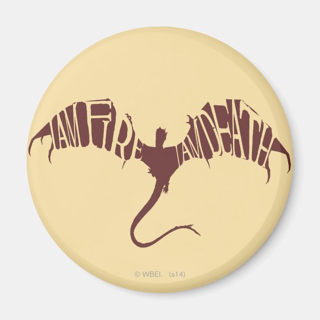 Aimant Je Suis Feu Je Suis Mort - Graphique (Devant)