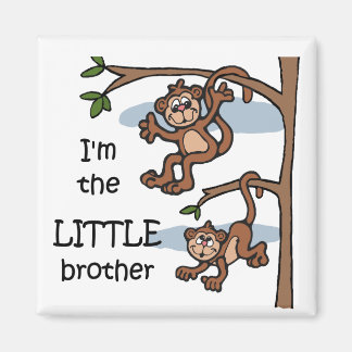 Aimant Je suis l'aimant Little Brother