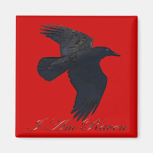 Aimant JE SUIS RAVEN Flying Crow