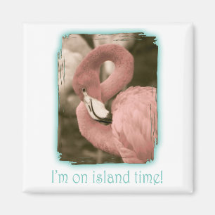 Aimant Je suis sur Island Time
