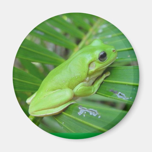 Aimant Je suis Vert (Devant)