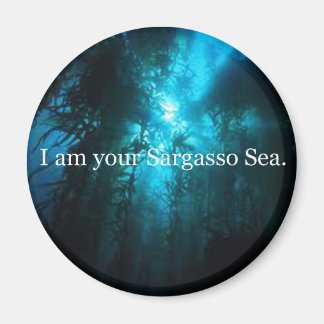 Aimant Je Suis Votre Mer Sargasso