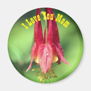 Aimant Je t'aime maman fleur de columbine 