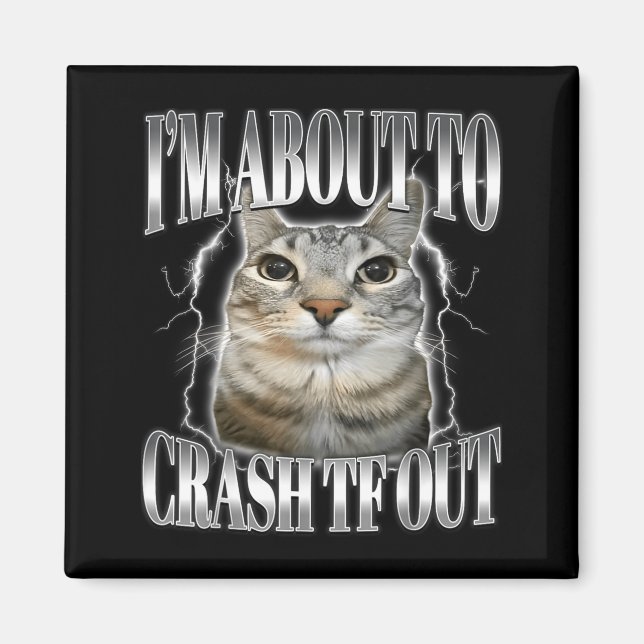 Aimant Je vais bientôt m'écraser Drôle de chat qui fixe B (Devant)