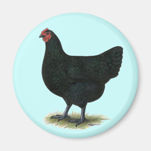 Aimant Jersey Giant : Black Hen