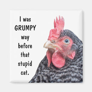 Aimant J'étais manière GRINCHEUSE avant le chat stupide