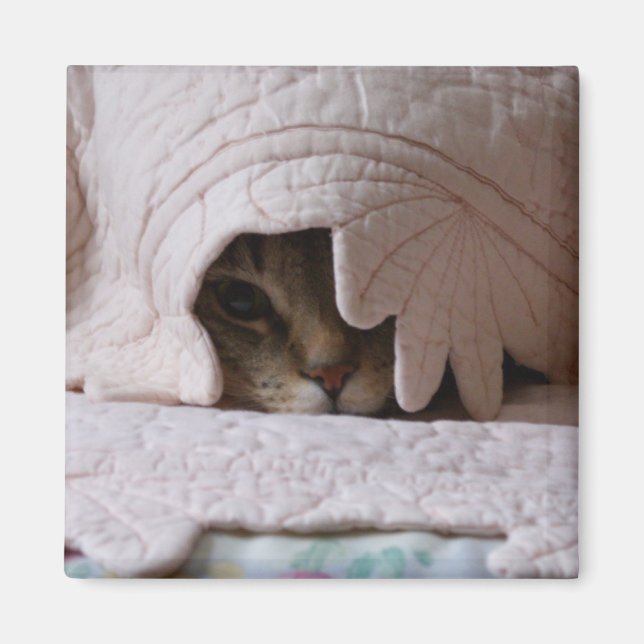 Aimant Jeter un coup d'oeil à l'aimant Tom (Devant)