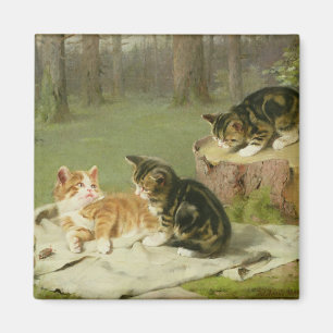 Aimant Jeu de chatons