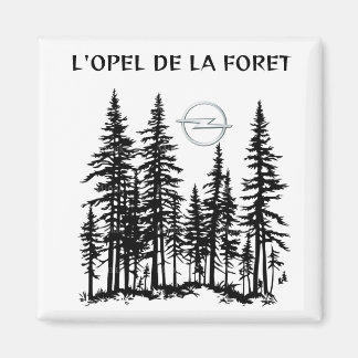 AIMANT JEU DE MOT