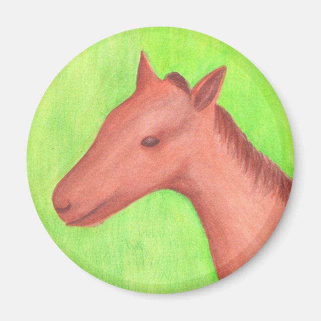 Aimant Jeune cheval, poney, en aquarelle (Devant)
