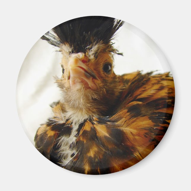 Aimant Jeune polonais (Devant)