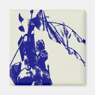 Aimant Joan De L'Aimant Arc