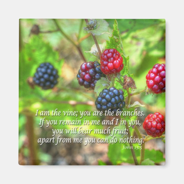 Aimant John 15:5 (Devant)