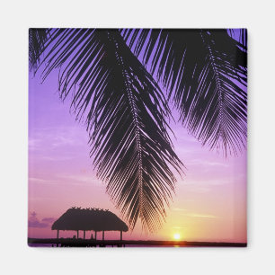 Aimant John Pennekamp State Park, Florida Keys, Key