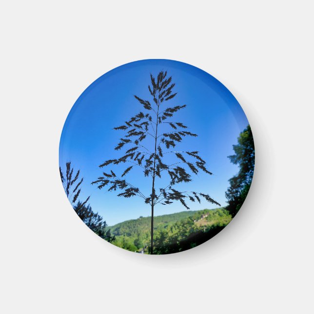 Aimant Johnson Grass (Devant)