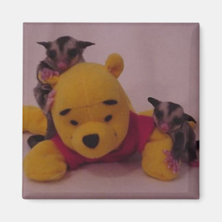 Aimant joies de glisse sucrée